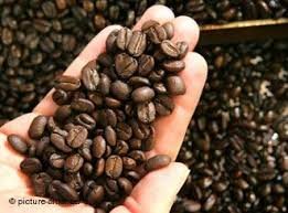 البن و فيفاء