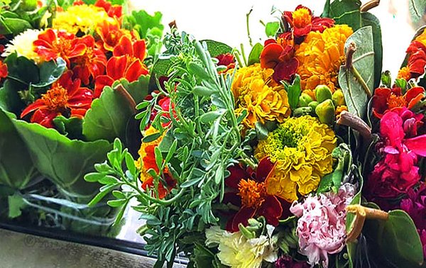 مدرجات فيفاء قصة حياة