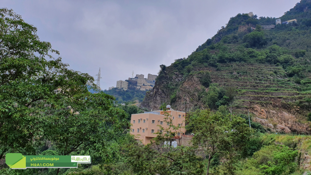 مدرجات فيفاء قصة حياة
