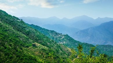 طرق جنوبي سعيد بن عتيق الشهراني