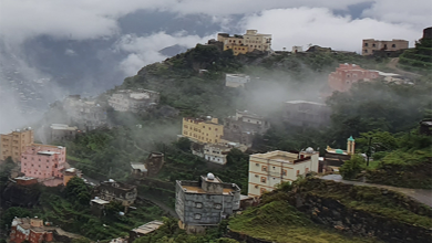 مدرجات فيفاء قصة حياة