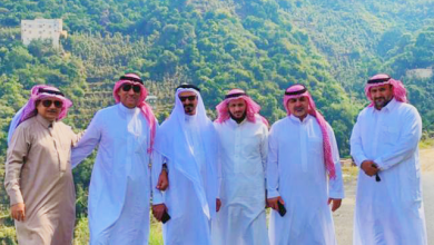 عندما زرت فيفاء الشامخة