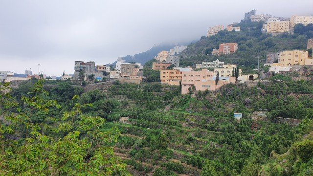 عندما زرت فيفاء الشامخة