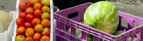 بائعة الخضار !  الوقت الثانية ظهراً هناك في جانب الطريق كانت جالسة أمام بسطتها في لهيب الحر وتحت أشعة الشمس الحارقة،