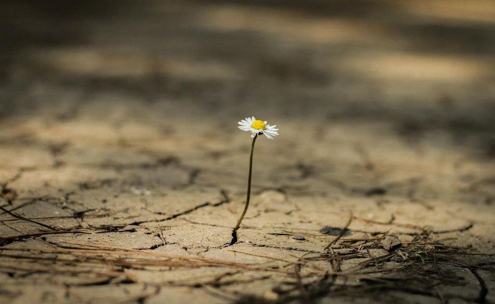 إذا دمعت العين مسحتها اليد