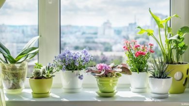 قصيدة بَنَاْتِيْ!!