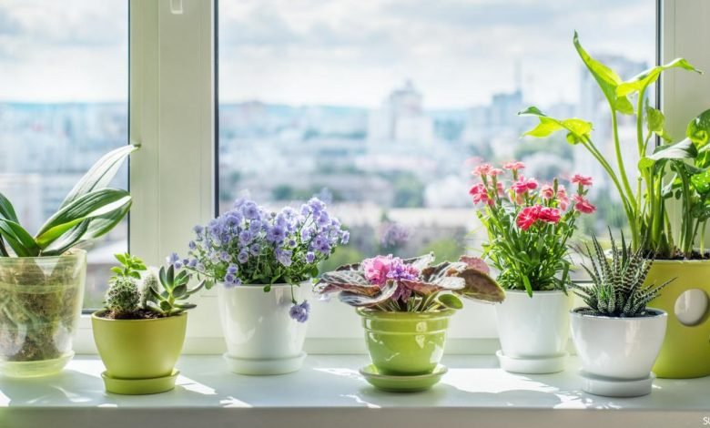 قصيدة بَنَاْتِيْ!!