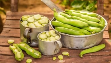 الفاكهة الممنوعة لمرضى أنيميا الفول