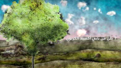 وثائقي | زراعة الأشجار لمكافحة تغير المناخ