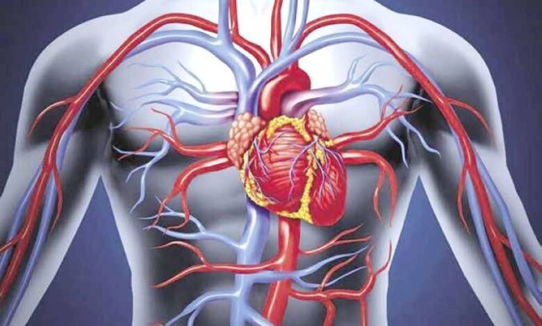 تقنية جديدة لعلاج الجلطات دون قسطرة