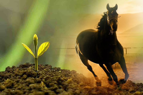 النوايا مطايا ..