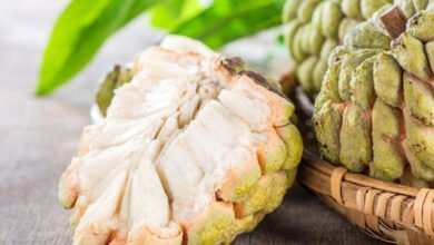 هل تناول القشطة يزيد الوزن؟