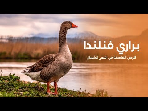 براري فنلندا الارض الغامضة