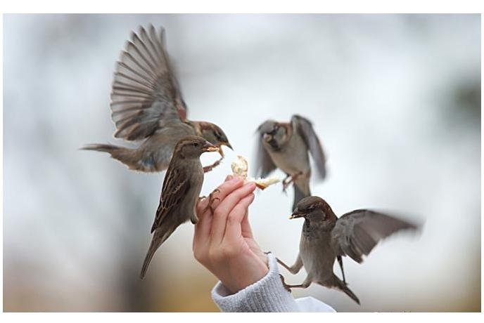 لاتحقرن معروفا