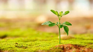 اللهم بك أصبحنا