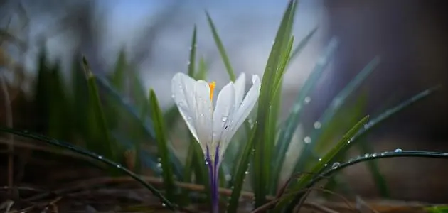 اللهم بك أصبحنا (27)