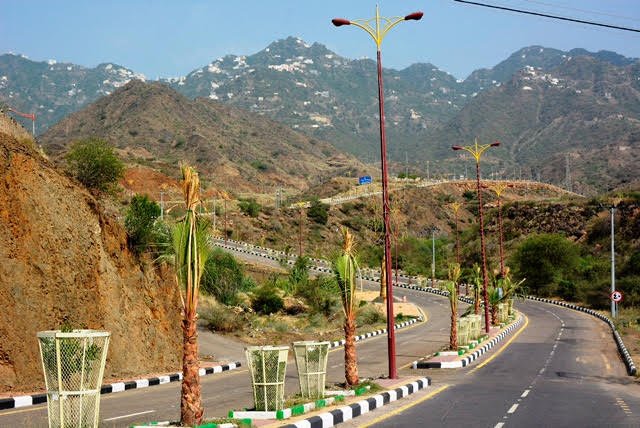 سيرة الفقيه : زاهر بن حسن المشنوي الفيفي (رحمه الله)