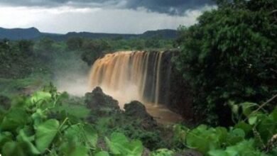 رحلة لأرض الحبشة