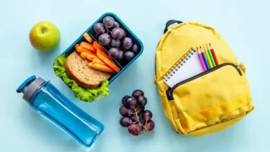 افكار لانش بوكس للاطفال.. سيتناول كلّ طعامه!