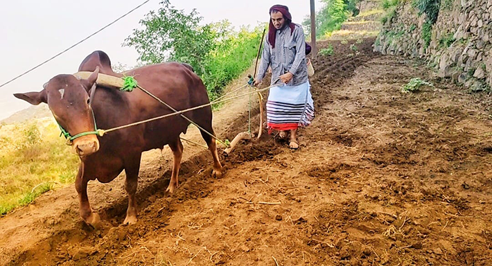 من الأدوات التراثية (4)