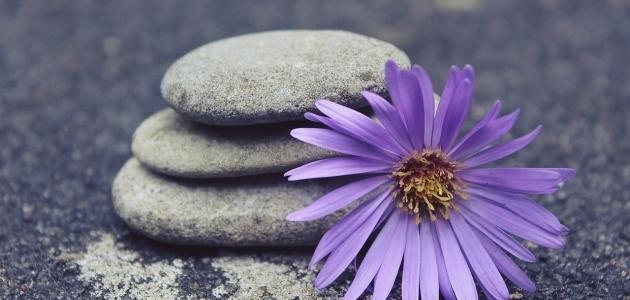 من العادات و الأدوات التراثية (14)