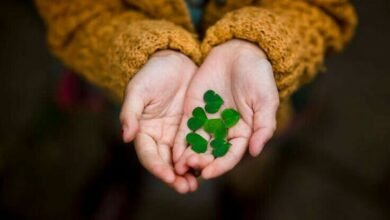 سلامٌ لقلبك