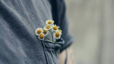 كُل الإجابات المُطمئنة