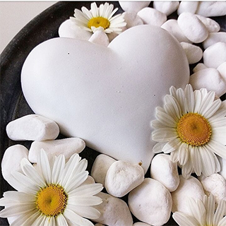 تفقدوا ساكني قلوبكم