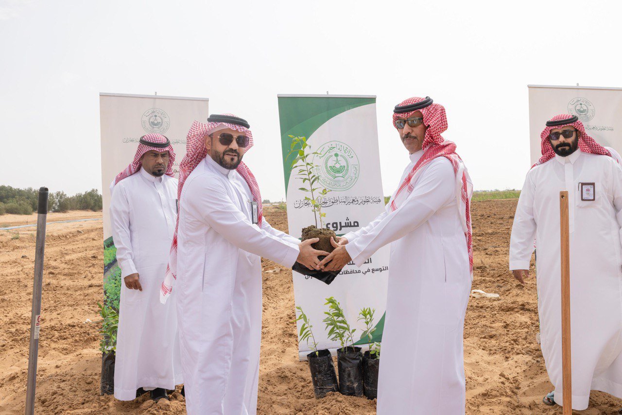 زراعة عدد من أشجار الصندل في منطقة جازان