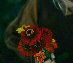 فليكن وصالكم كالنّدى