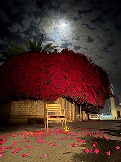 يتعافى المرء بقُربه من الله