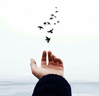 نحتاج قلباً متسامح