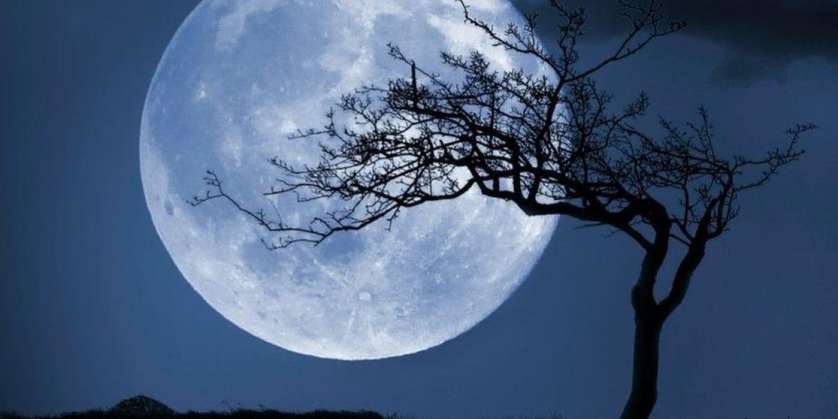 جمعية المتعوس وخائب الرجاء