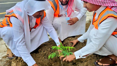 بلدية فيفاء تشارك في مبادرة السعودية الخضراء