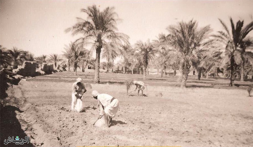 عثمان التركي.. الكريم الجواد