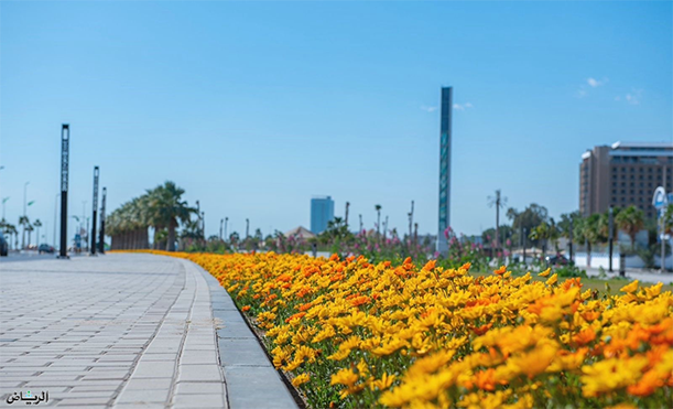 123 ألف شتلة تزين شوارع الخبر للمساهمة في تحقيق أهداف "السعودية الخضراء"