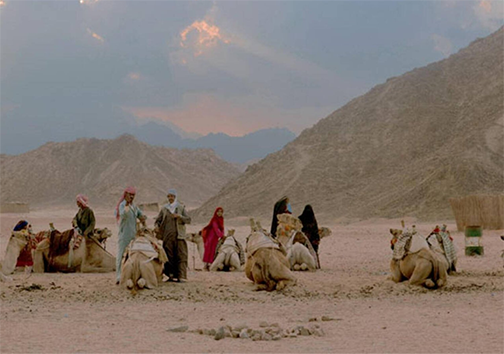 البداوة ليست جَدّاً لأحد