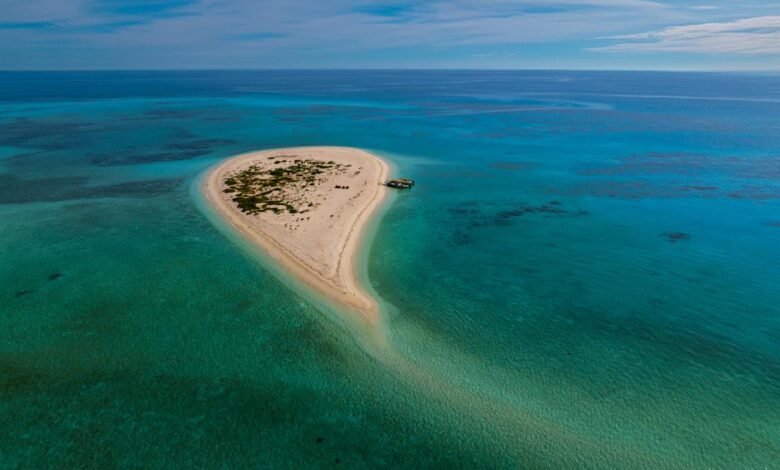 لتعزيز مشاركتهم في إدارة المحميات وإسهامهم في تحقيق أهداف التنمية المستدامة جازان تستضيف منتدى شباب الإنسان والمحيط الحيوي العربي الإقليمي الأول