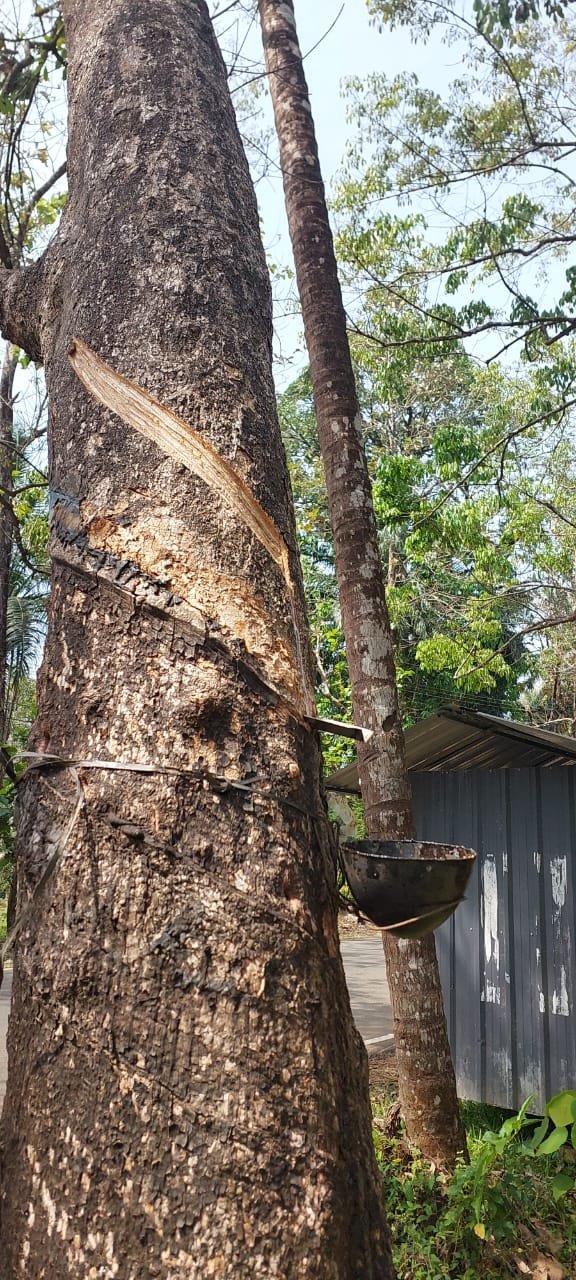 رحلة الهند الحلقة السادسة والأخيرة