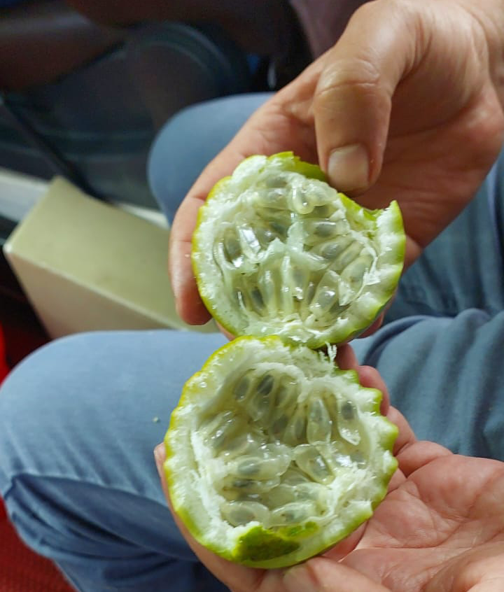 رحلة الهند الحلقة الخامسة