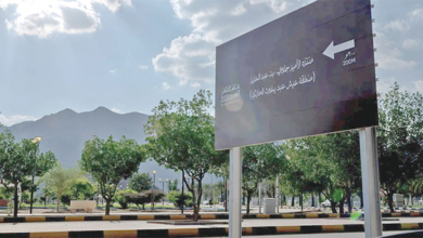 "الحس الشعري والأدبي" في العصر الجاهلي