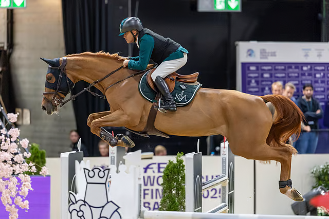 الفارس "رمزي الدهامي" يمثل المملكة في كأس العالم لقفز الحواجز 2025