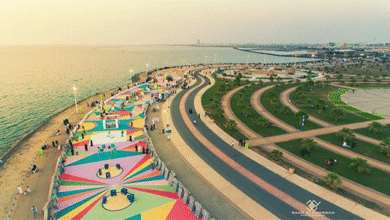 خواطر من المنصورة لجازان