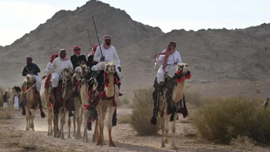 "الهجانة" يحيون تقاليد العيد في بادية تبوك على أنغام الهجيني