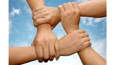 الرفقة الدافئة