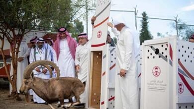 في ختام موسم الإطلاقات: أكثر من 1,200 حياة تنطلق في الطبيعة