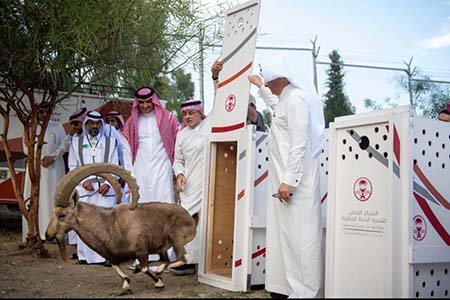 في ختام موسم الإطلاقات: أكثر من 1,200 حياة تنطلق في الطبيعة