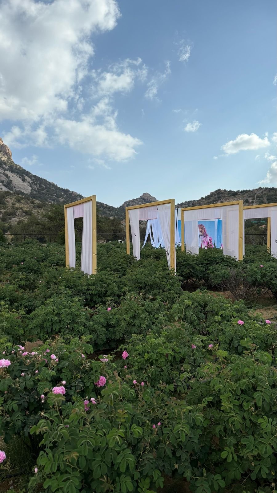 تدشين معرض "سيمفونية ورد" في الطائف