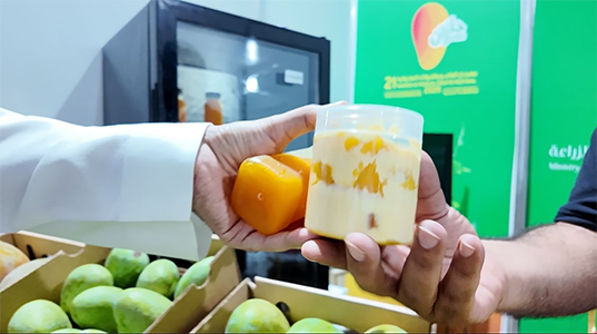الصناعات التحويلية تُثري مهرجان المانجو والفواكه الاستوائية بجازان في نسخته الحادية والعشرين بصبيا