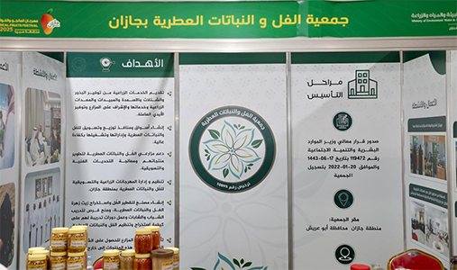 فعاليات متنوعة ورعاية صحية شاملة في مهرجان المانجو والفواكه الاستوائية بجازان بنسخته الحادية والعشرين